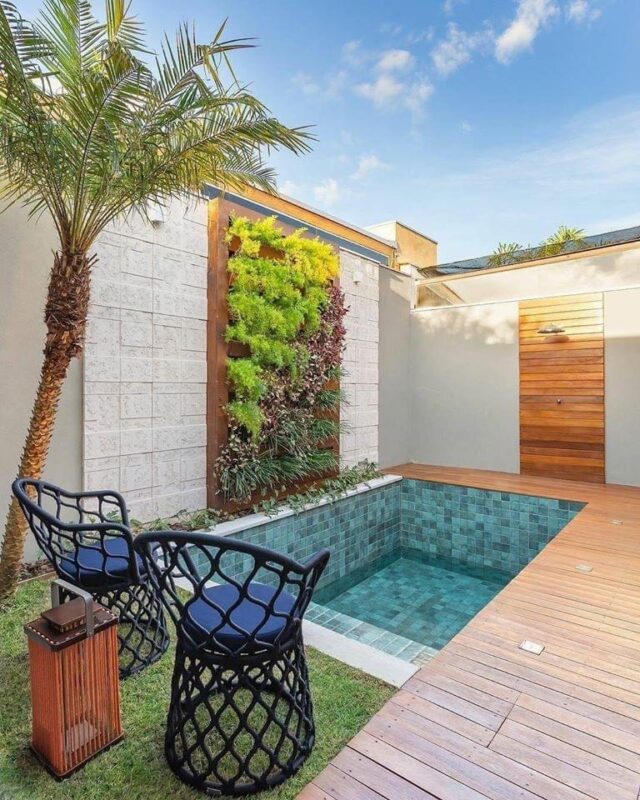 piscina pequeña en jardin con jardin vertical
