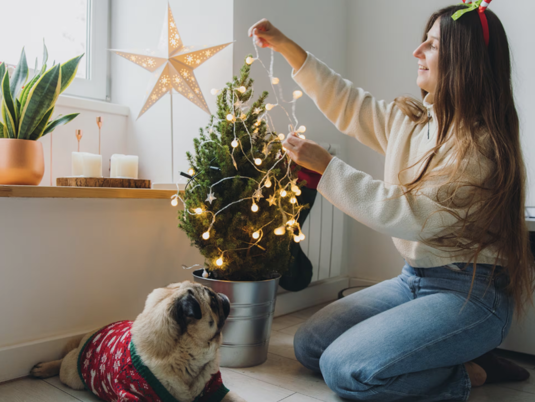 COLORES DE NAVIDAD PARA TU NEGOCIO 10 - Estudio de Interiorismo en Valencia Decoracion ventanas