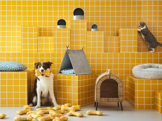 interiorismo mascotas